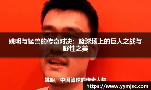 k1体育网页版