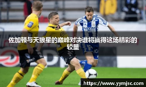 k1体育网页版